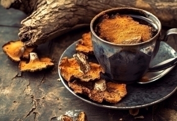 Chaga banner