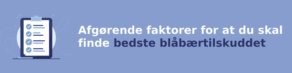 viktiga faktorer för att välja rätt blåbærtilskud