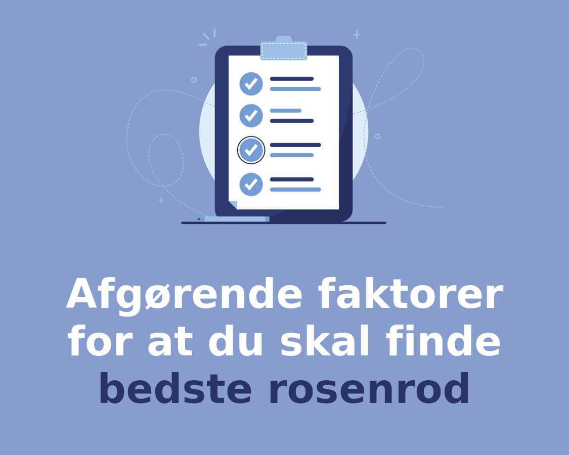 Afgørende faktorer for at du skal finde bedste rosenrod