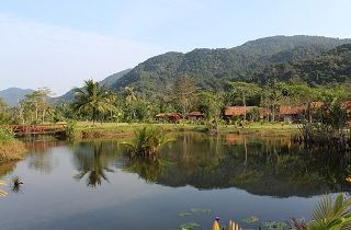 Amazonas regnskove