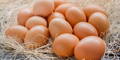 Bild från vårt test av bockhornsklöver 2026