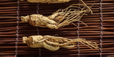 Bild från vårt test av bockhornsklöver 2026