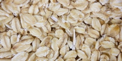 Bild från vårt test av bockhornsklöver 2026