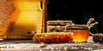 Bild från vårt test av bockhornsklöver 2026