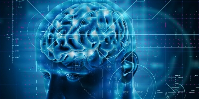 Bild från vårt test av bockhornsklöver 2026