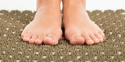 Bild från vårt test av bockhornsklöver 2026