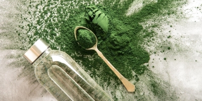 Bild från vårt test av bockhornsklöver 2026