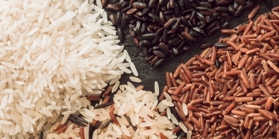 Bild från vårt test av bockhornsklöver 2026