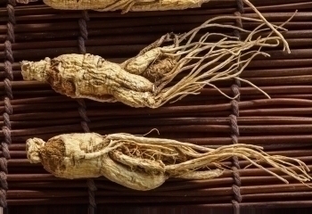 Ginseng banner