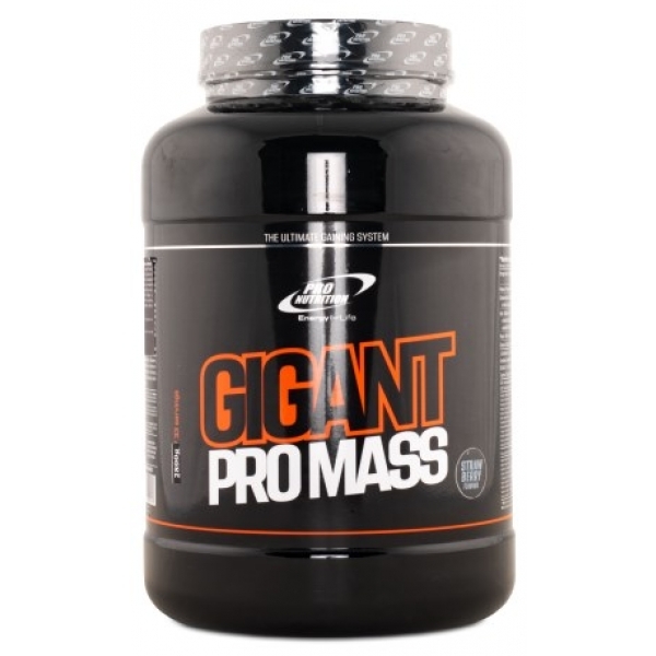 Gigant Pro Mass