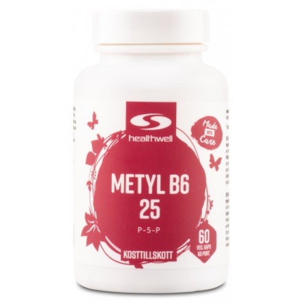 Healthwell Methyl B6