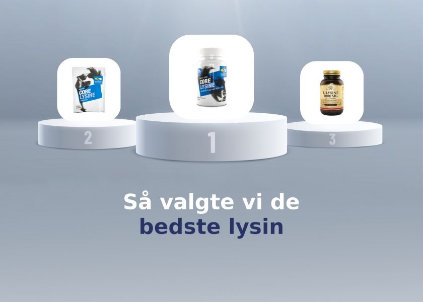 Så valgte vi de bedste lysin