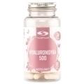 Hyaluronsyre 500