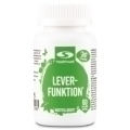 Leverfunktion