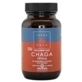 Terranova Chaga
