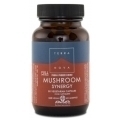 Terranova Mushroom Synergy