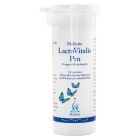 Holistic LactoVitalis Pro