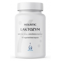 Holistic Laktozym
