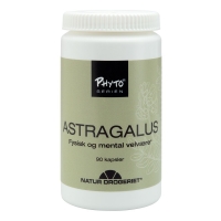 Natur-Drogeriet Astragalus - 90 kaps.