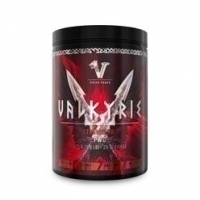 Viking Power Valkyrie PWO